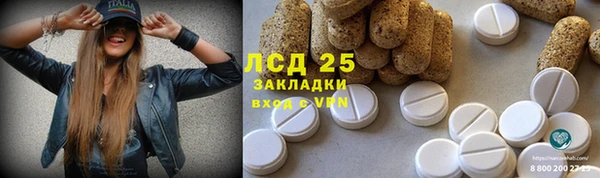 дживик Гусиноозёрск