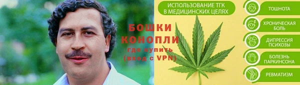 apvp Гусев