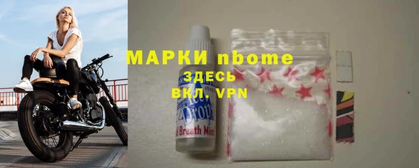 apvp Гусев