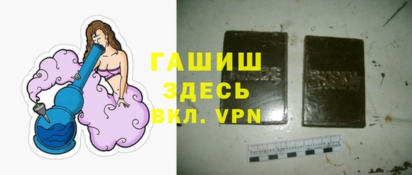 apvp Гусев