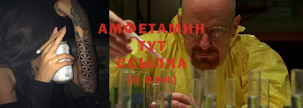 apvp Гусев