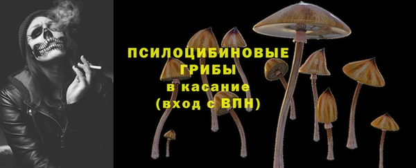 apvp Гусев