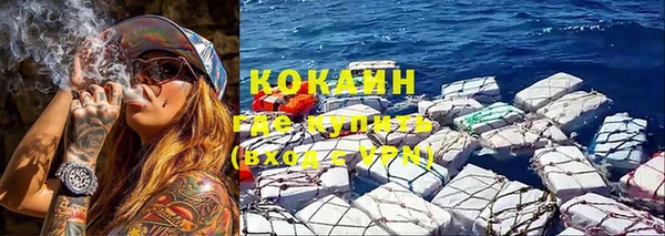 прущие грибы Саяногорск