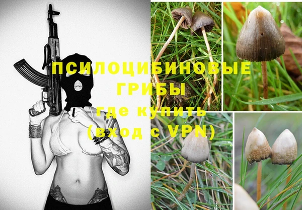 дживик Гусиноозёрск