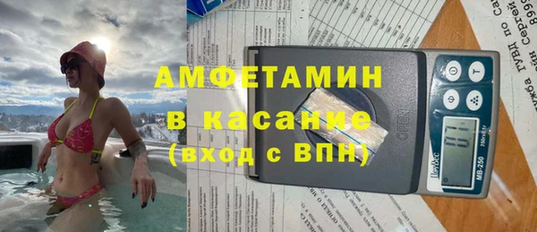 apvp Гусев