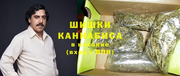 apvp Гусев