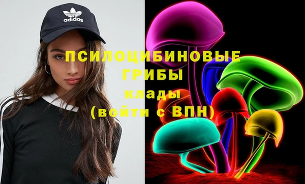 дживик Гусиноозёрск