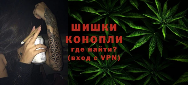 дживик Гусиноозёрск
